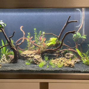 Publication de delville