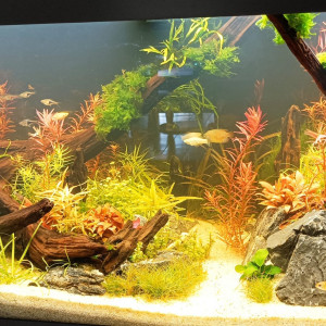 180L