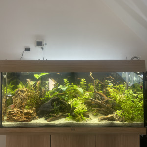 Aquarium 180 L