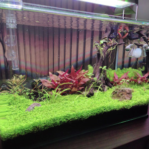 Publication de Olivoliv