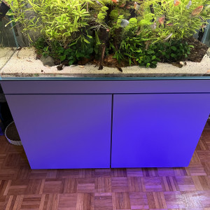 Vend aquarium + meuble + rampe + decors + filtration ... etc