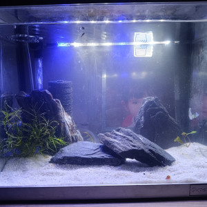 Aquarium 15litre