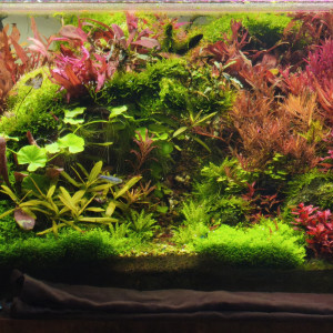 Publication de Loran