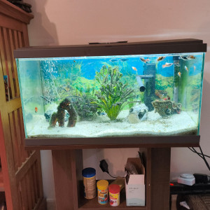 Donne aquarium 48L