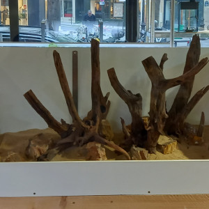 Publication de Kervalou