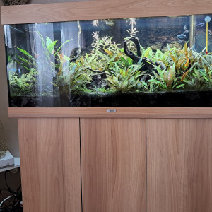 Aquarium Juwel rio 180