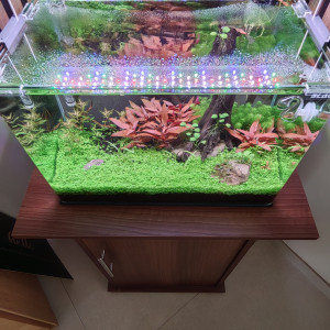 Publication de Olivoliv