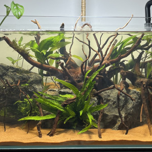 Publication de Dukzer