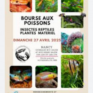 Publication de STK54