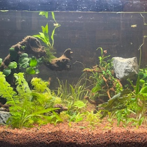 240L