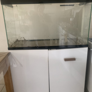 Aquarium Ciano 200 litre