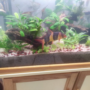 Publication de Sebinou11