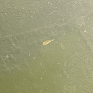 Publication de valentin_459328