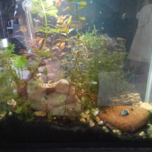 Publication de J2f.aqua