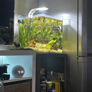 Publication de MamZ-L94