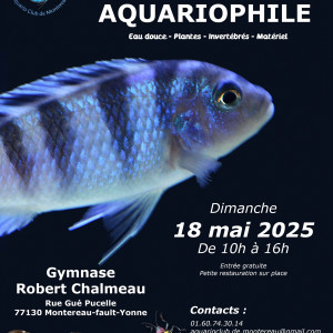 Bourse aquariophile de l'Aquario Club de Montereau