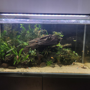 112l