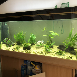 240L