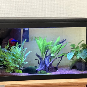 60L Led