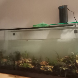 Publication de Martinpecheur