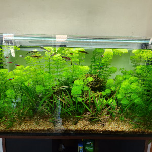 Publication de Roxane11300