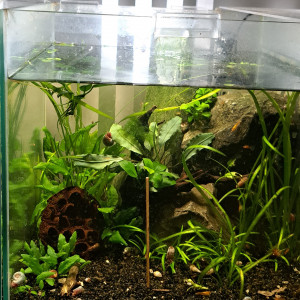 Publication de Lorent_Aquataz