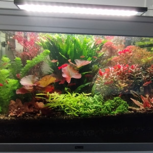 Publication de Olivier1977