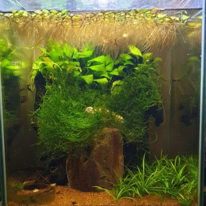 30L