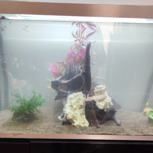 Publication de Crawouette19