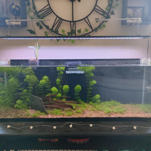 Publication de Roxane11300