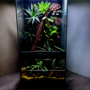 Paludarium