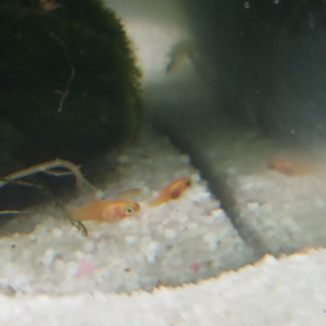 Publication de Master-02