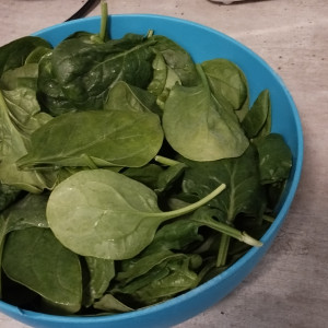 Publication de Olivier1977