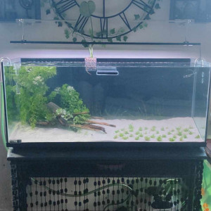 Publication de Roxane11300