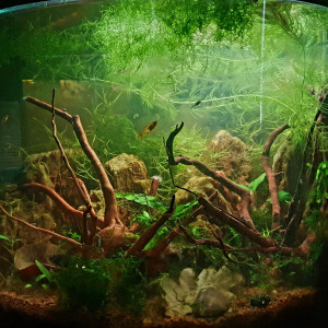 Publication de Masson.bruno57