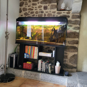 Publication de Rico13