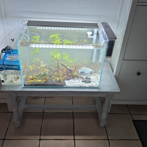 Publication de G0t1er