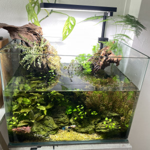 Nouveau 30L
