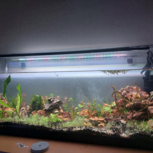 Aqua suite 22 06 25