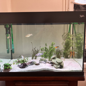 220L