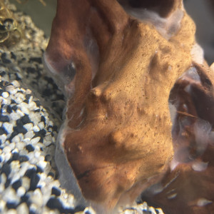 Publication de AudreyGtfs