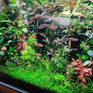 Publication de 2812pat