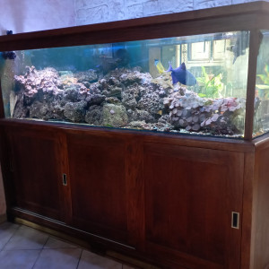 Publication de pascalplonge