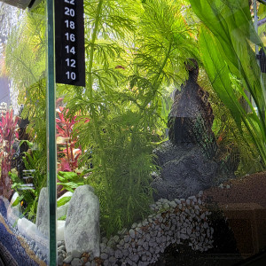 Publication de AmouretMax804