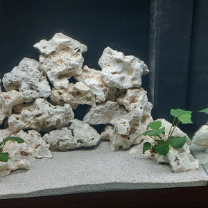 biotope lac malawi    200 litres