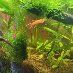 Publication de lolo95