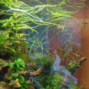 Publication de lolo95