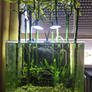 Publication de ibaloo