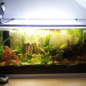 Aquarium feel good 76L