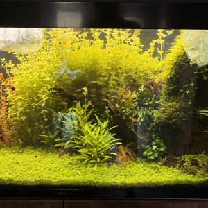 Publication de Tristan70290